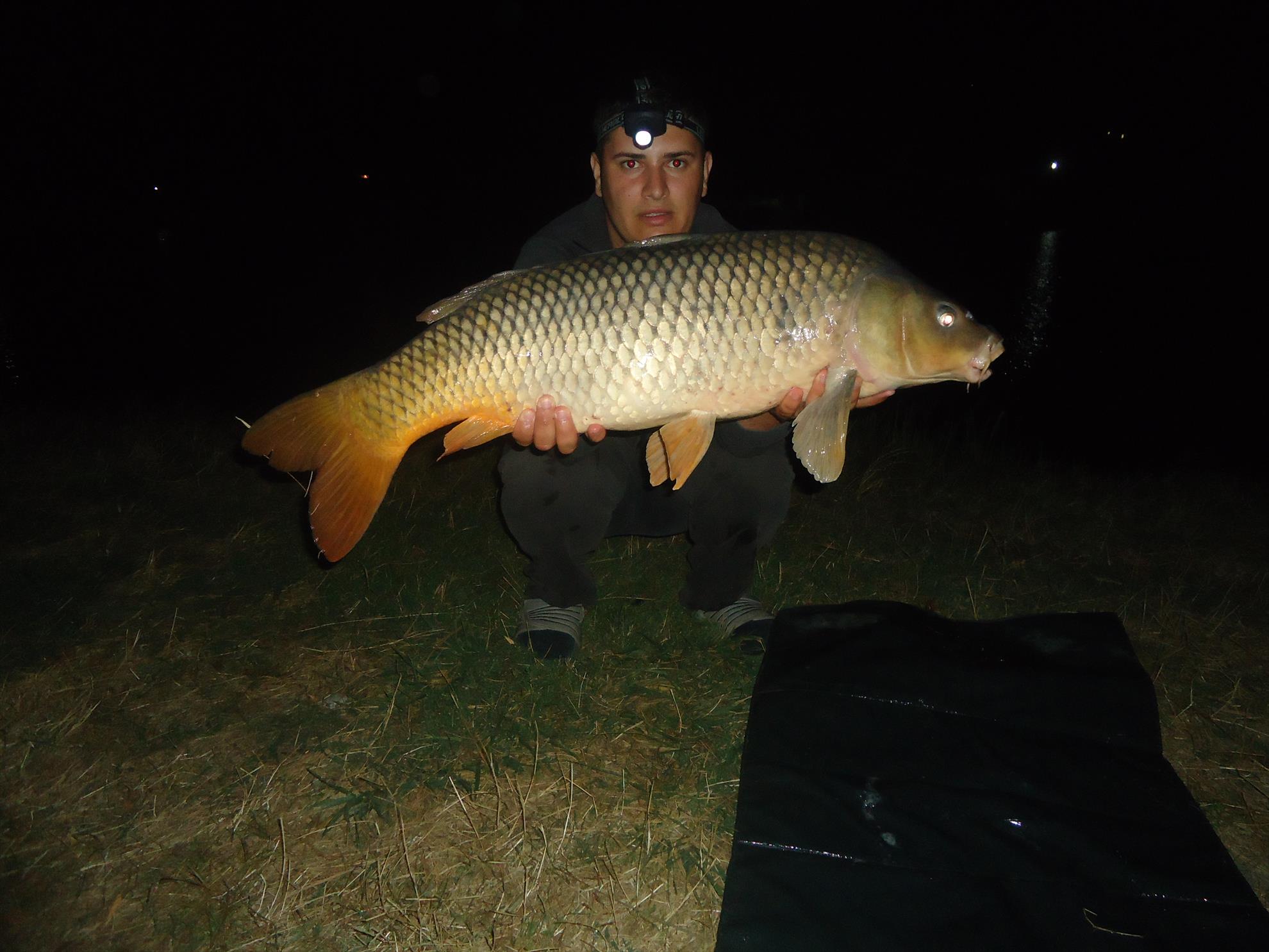 Moara vlasiei 26-27-08-2013 - dsc03879.JPG